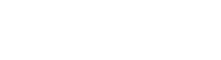 Logo CONAME